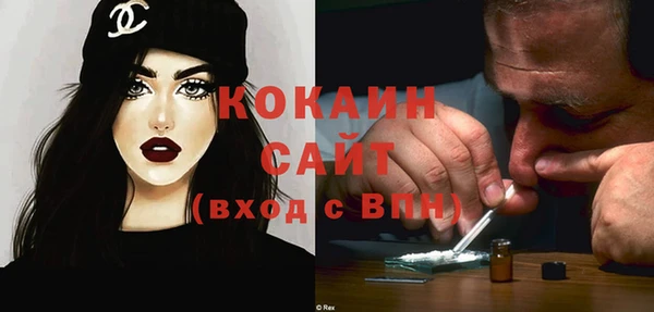 соль ск Алексин